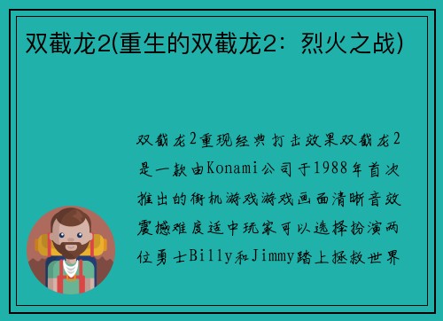 双截龙2(重生的双截龙2：烈火之战)